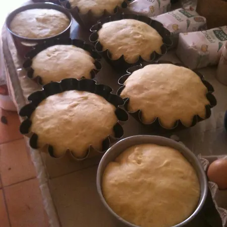 D'hotes Larrey Bed and Breakfast Audignon