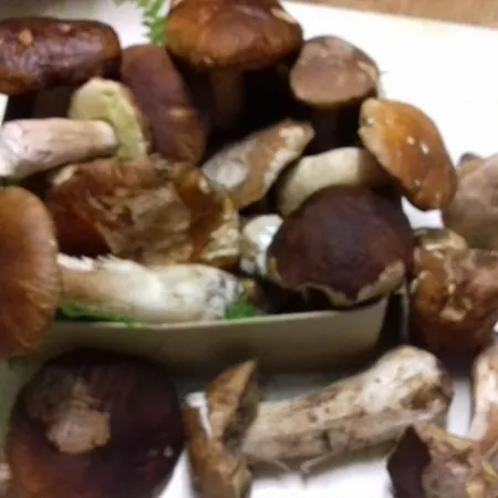 Bed & Breakfast D'hotes Larrey Audignon