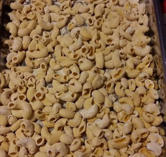 D'hotes Larrey לינה וארוחת בוקר Audignon