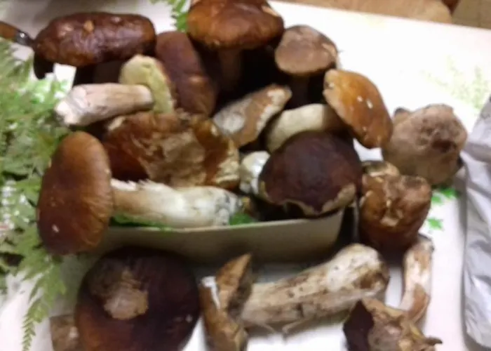 לינה וארוחת בוקר D'hotes Larrey Audignon